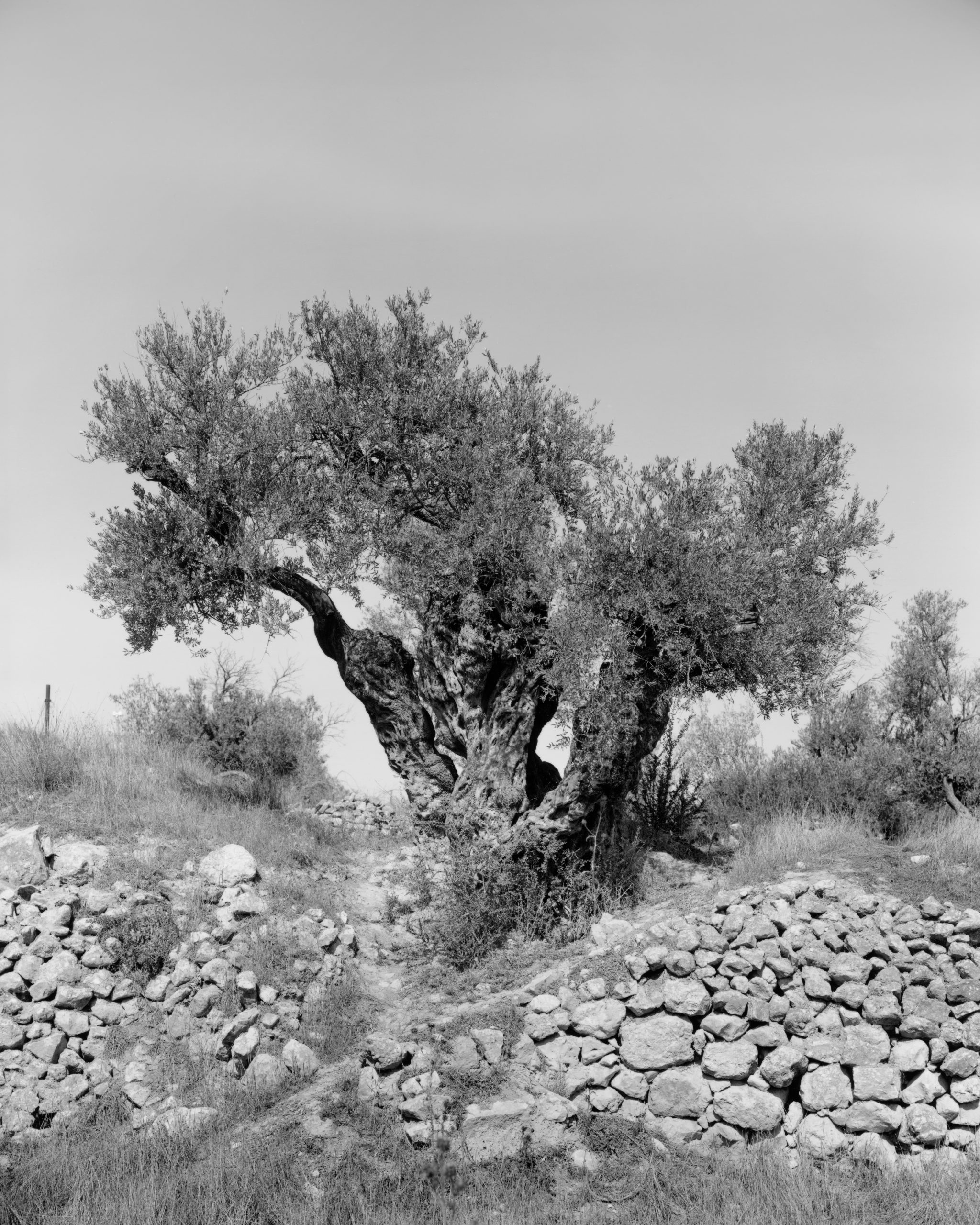 Anchor in the Landscape - Adam Broomberg
